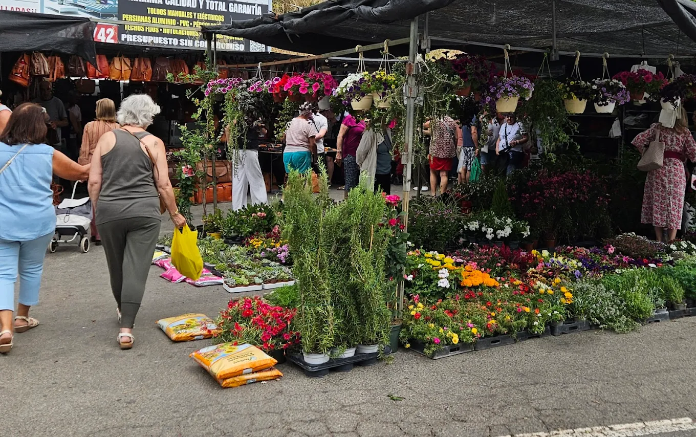 Mercadillo de Benalmádena
