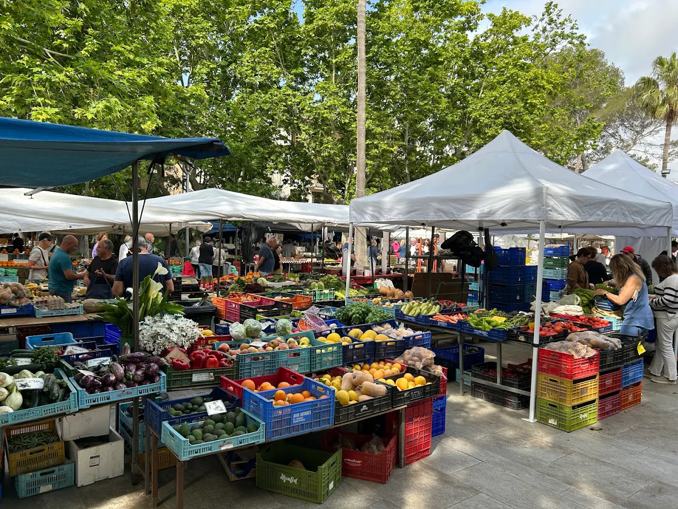 Mercadillo de Puerto de Pollença