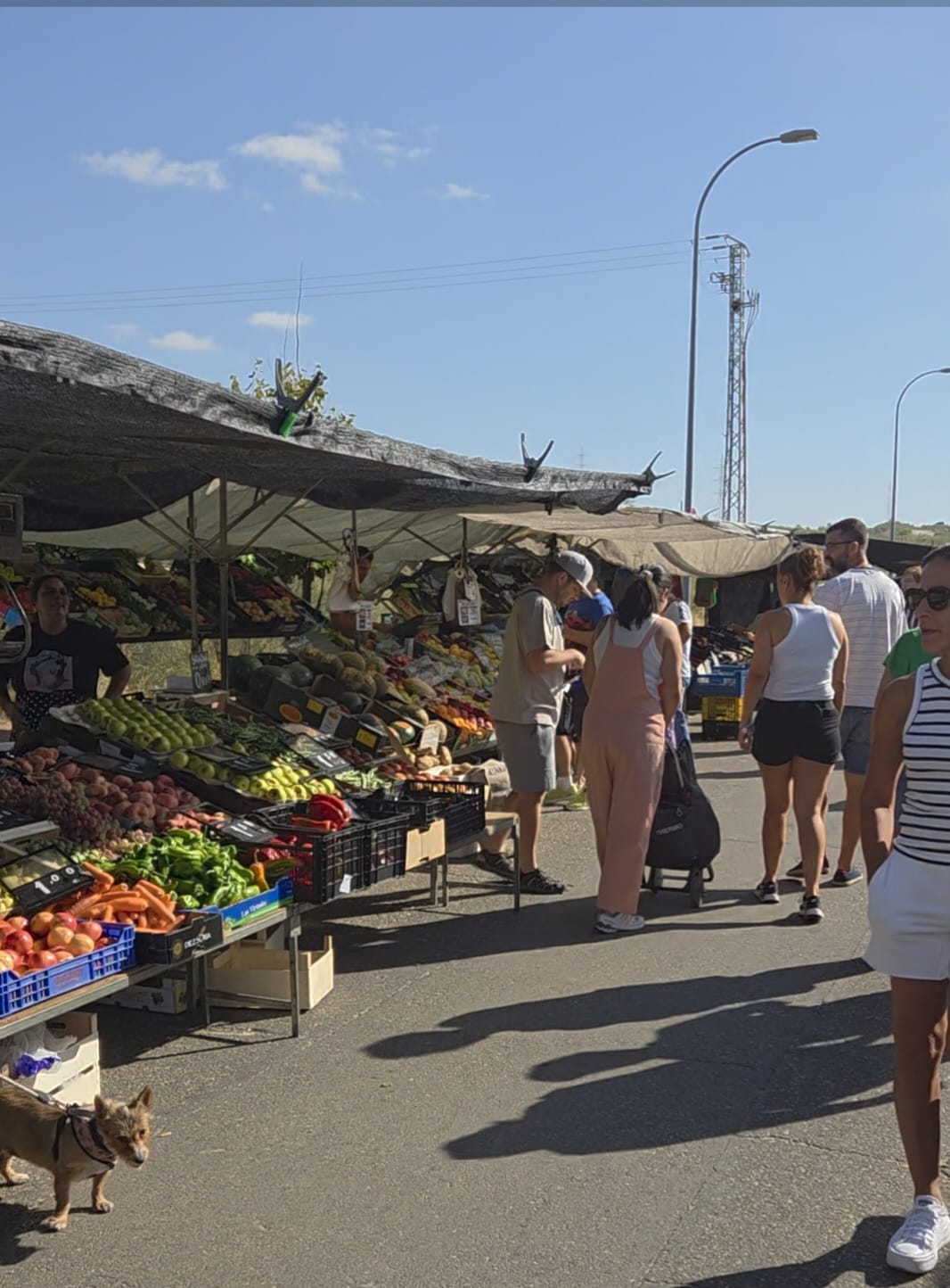 Mercadillo del Sector XXIII