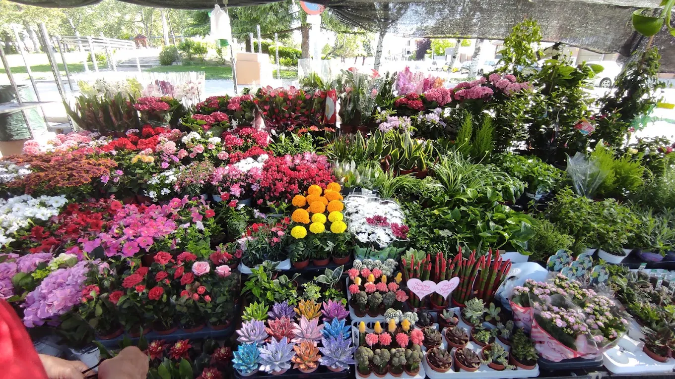 Mercadillo de Valdemoro